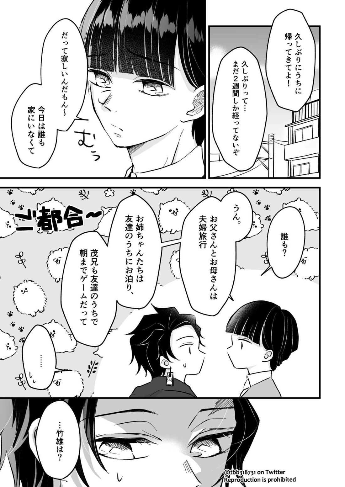 竹炭玉簾③【鬼滅の刃/六炭】 page 32