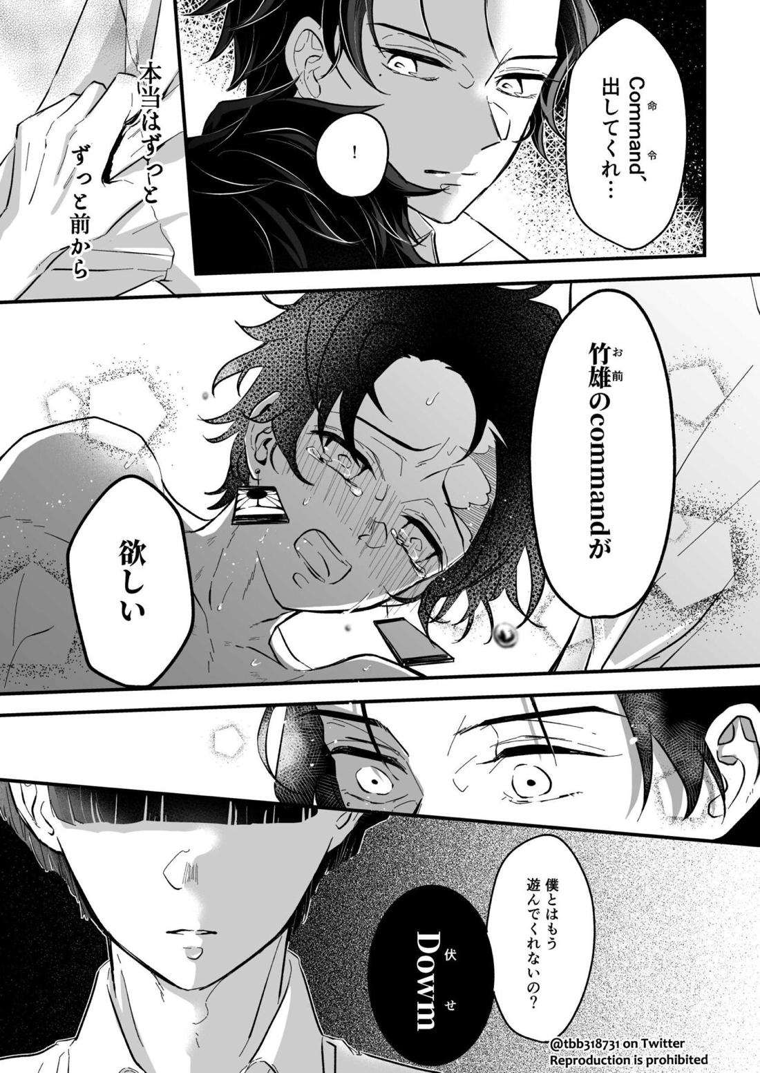 竹炭玉簾④【鬼滅の刃/竹炭】 page 11