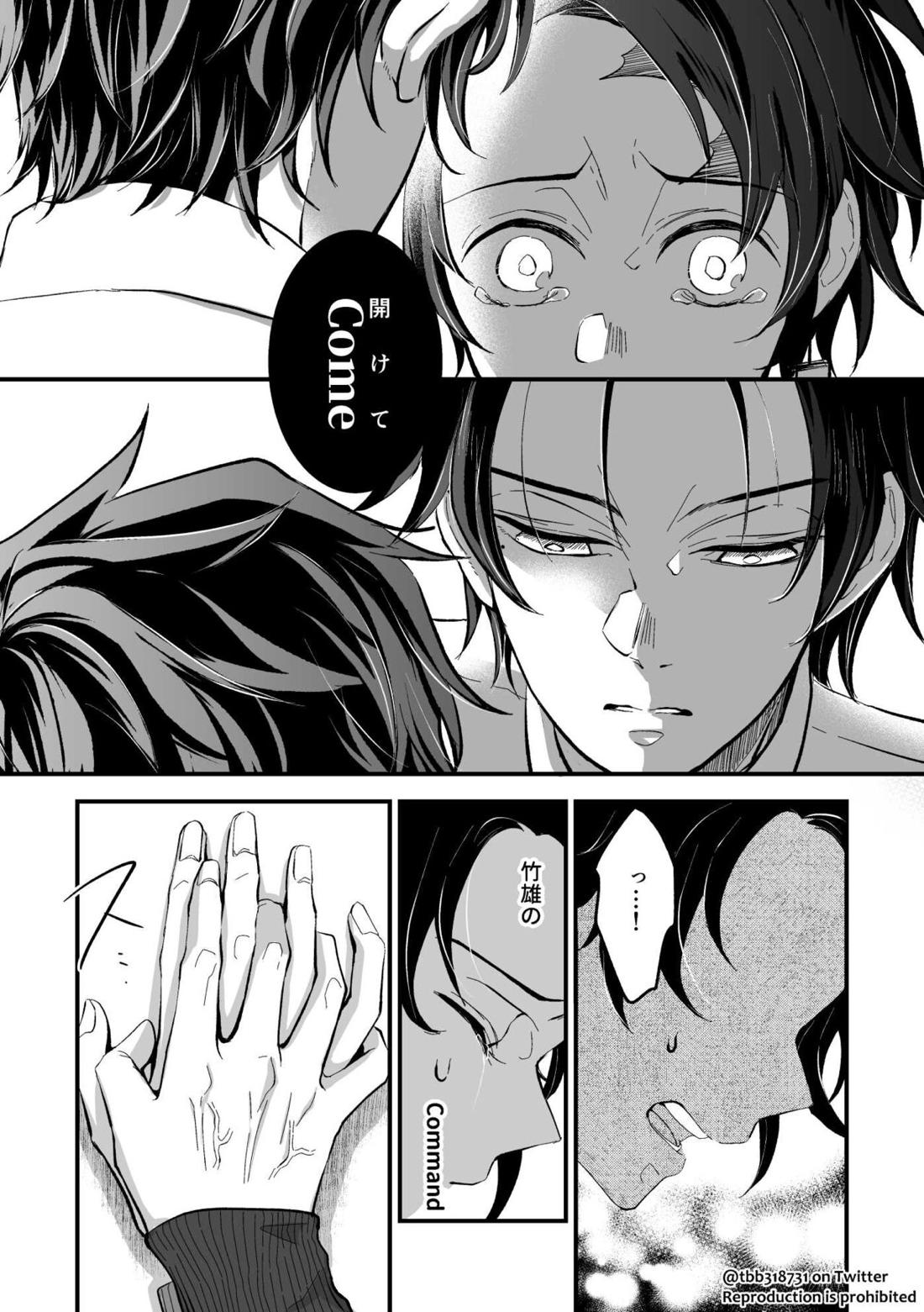 竹炭玉簾おまけ【鬼滅の刃/竹炭】 page 22