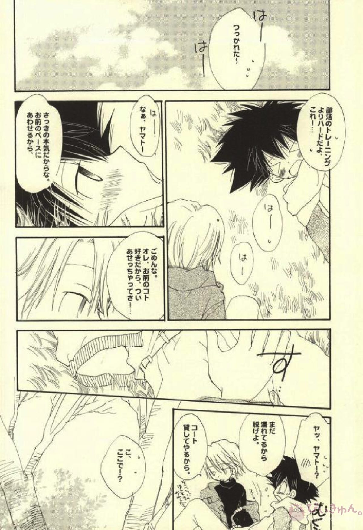 スワンの涙【デジモン/太ヤマ】 page 15