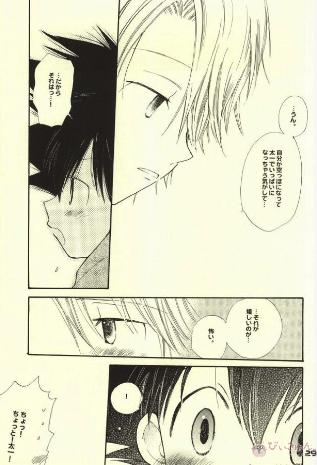 スワンの涙【デジモン/太ヤマ】 page 24