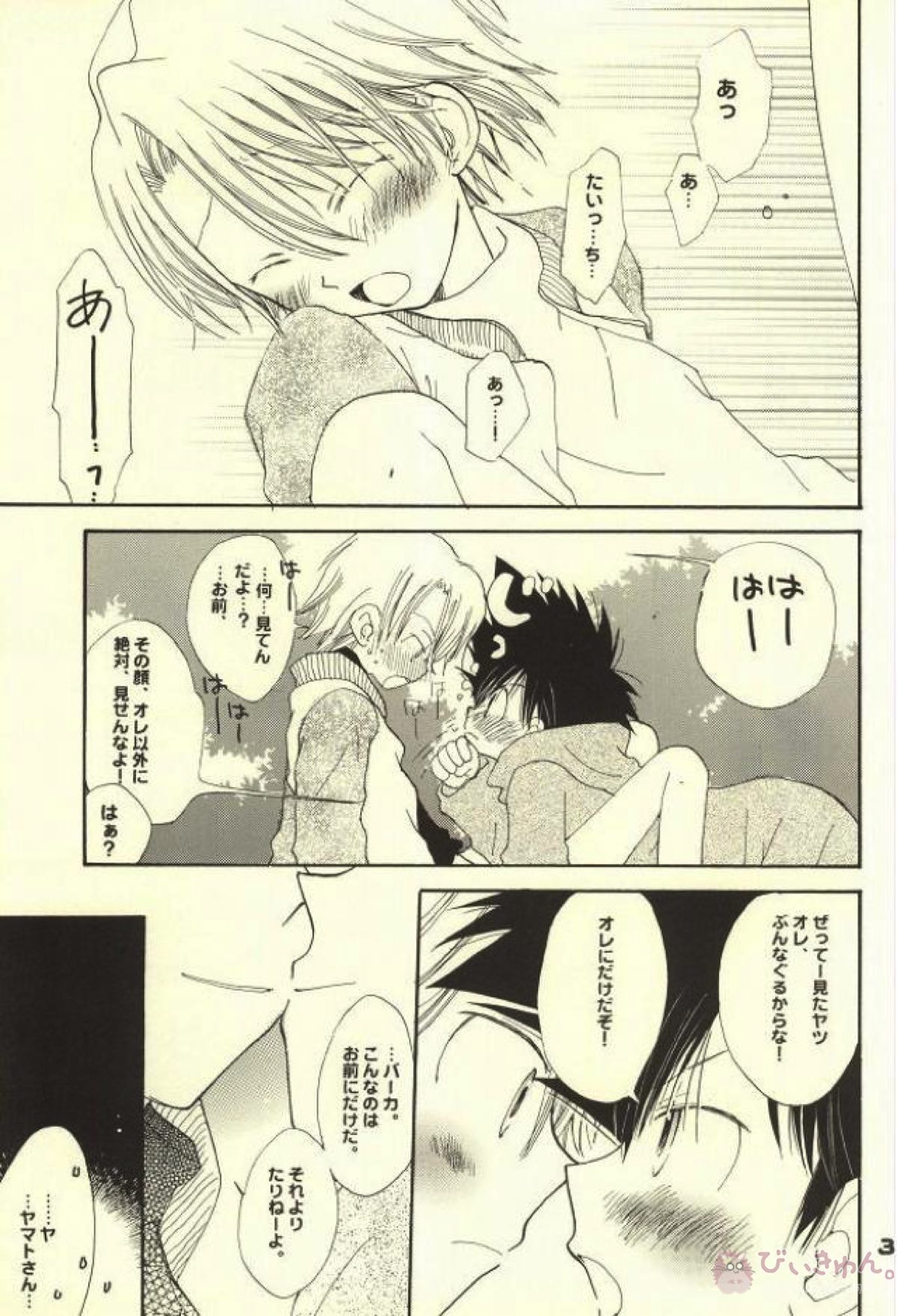 スワンの涙【デジモン/太ヤマ】 page 26