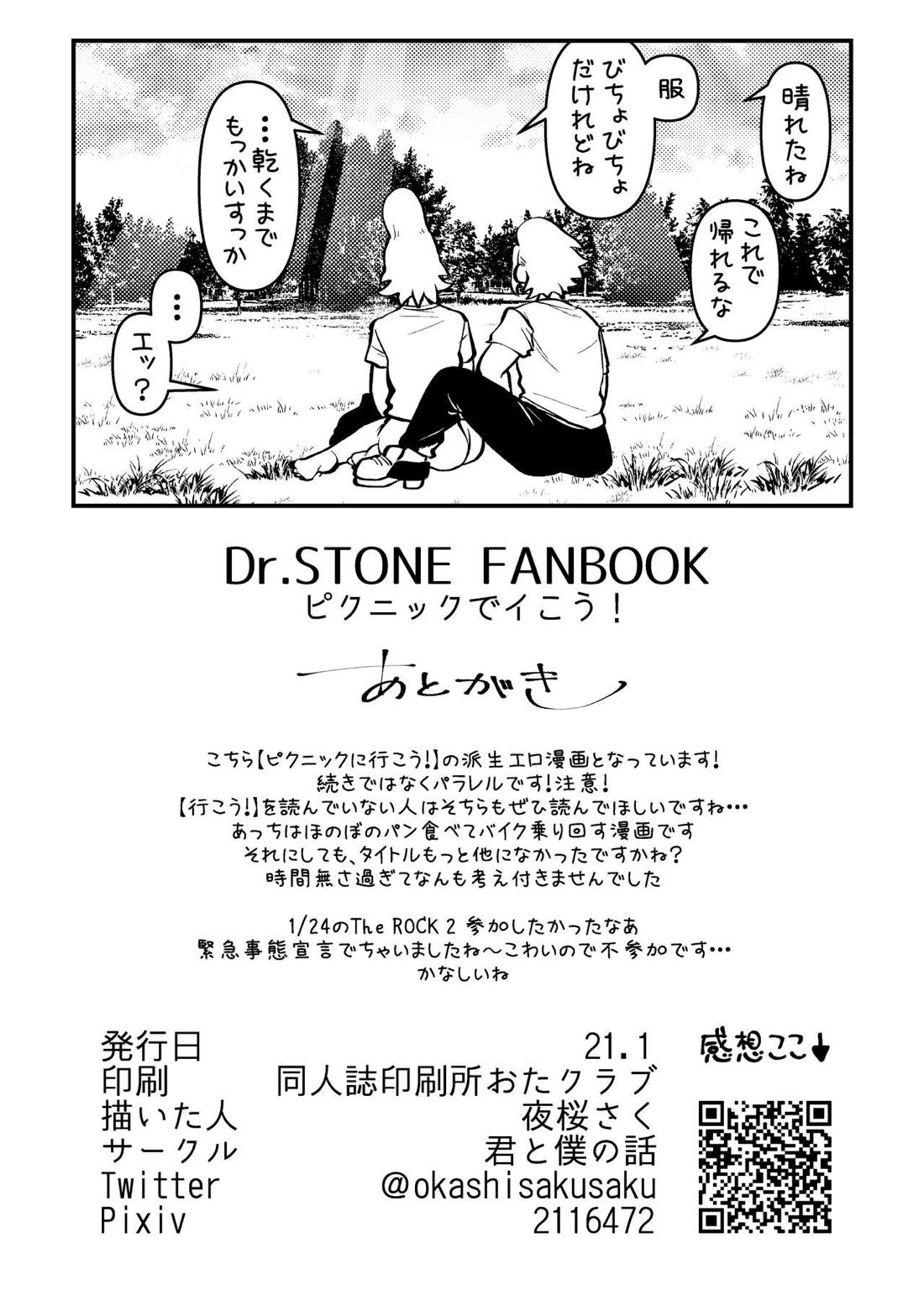 ピクニックでイこう!【Dr.STONE/スタゼノ】 page 17