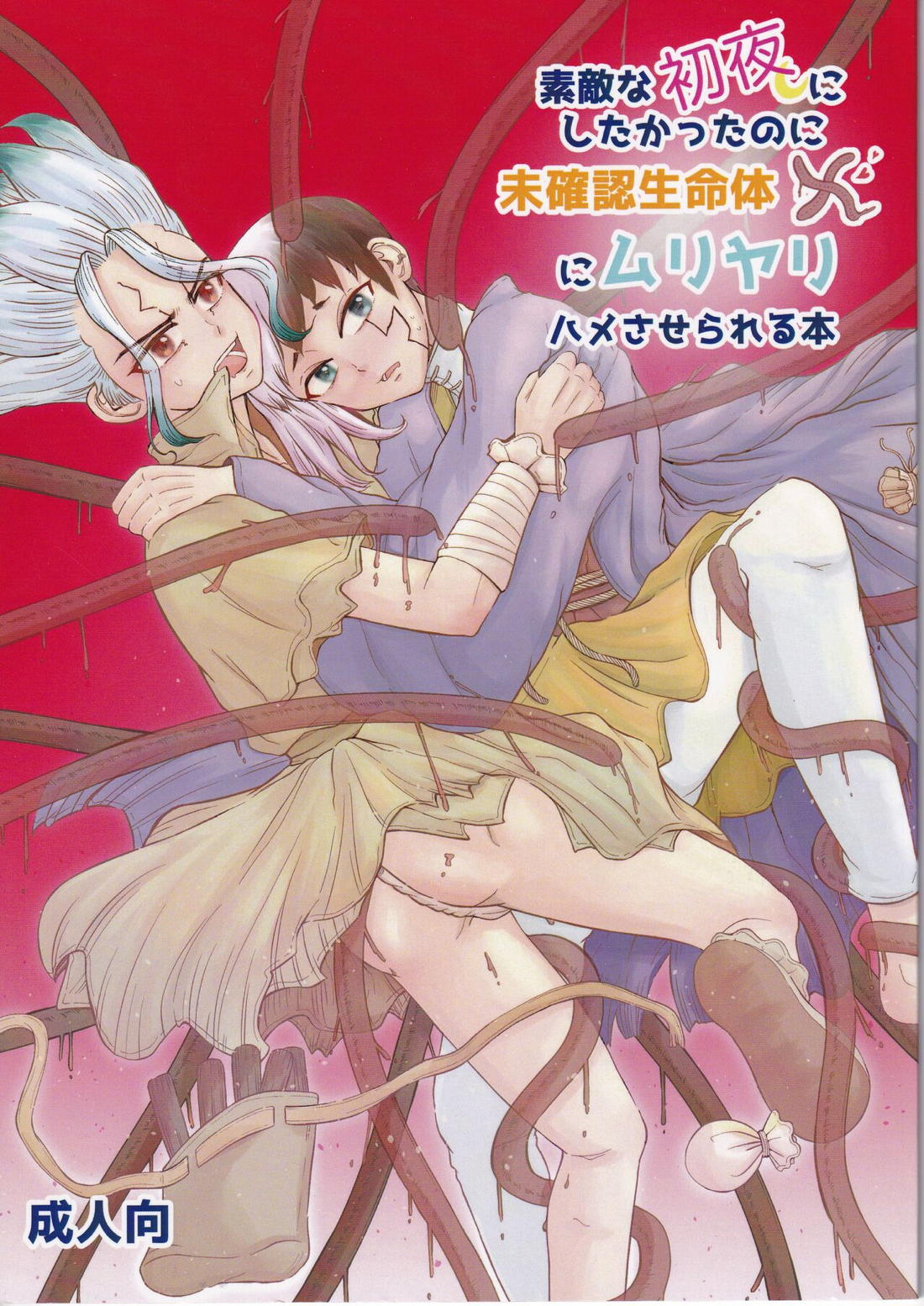 Recommended BL manga "素敵な初夜にしたかったのに未確認生命体Xにムリヤリハメさせられる本【Dr.STONE/千空×ゲン】" cover image