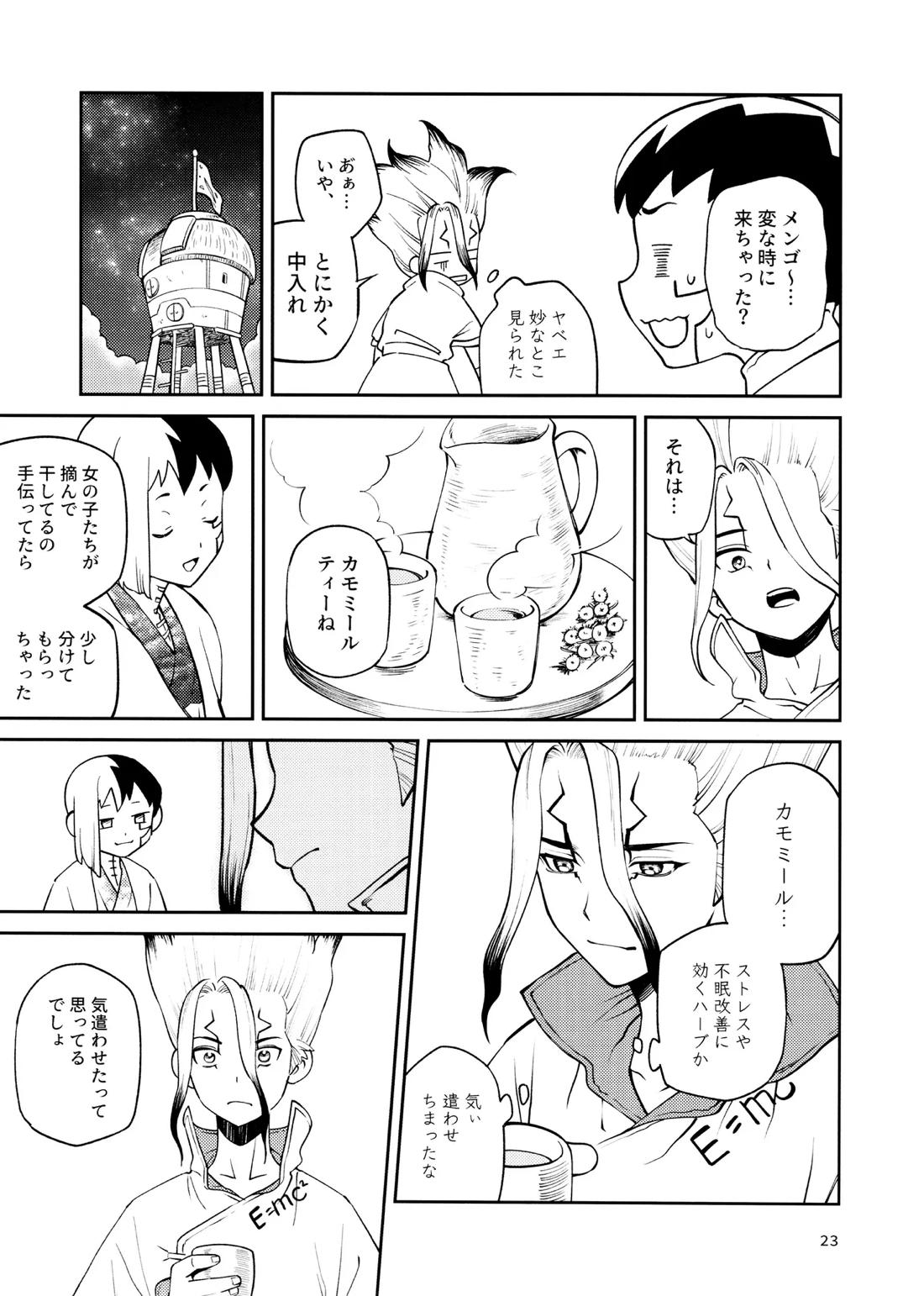 こんなの合理的じゃねえ!【Dr.STONE/ゲン千空】 page 22