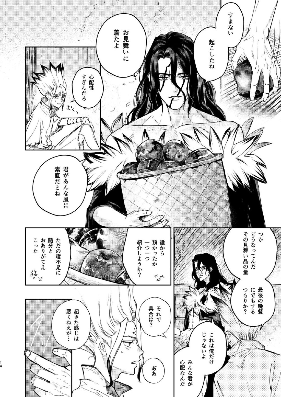エス【Dr.STONE/司×千空】 page 14