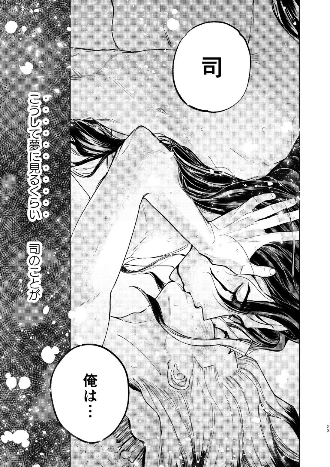 エス【Dr.STONE/司×千空】 page 23