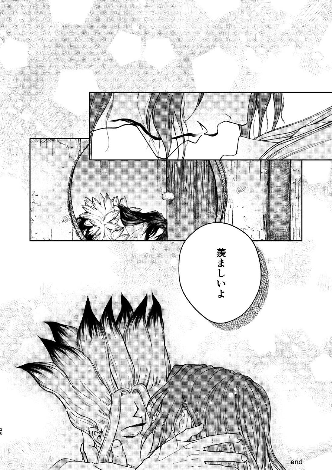 エス【Dr.STONE/司×千空】 page 26