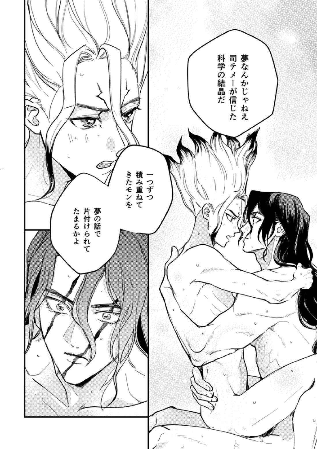 この世界のトモダチ【Dr.STONE/司×千空】 page 13