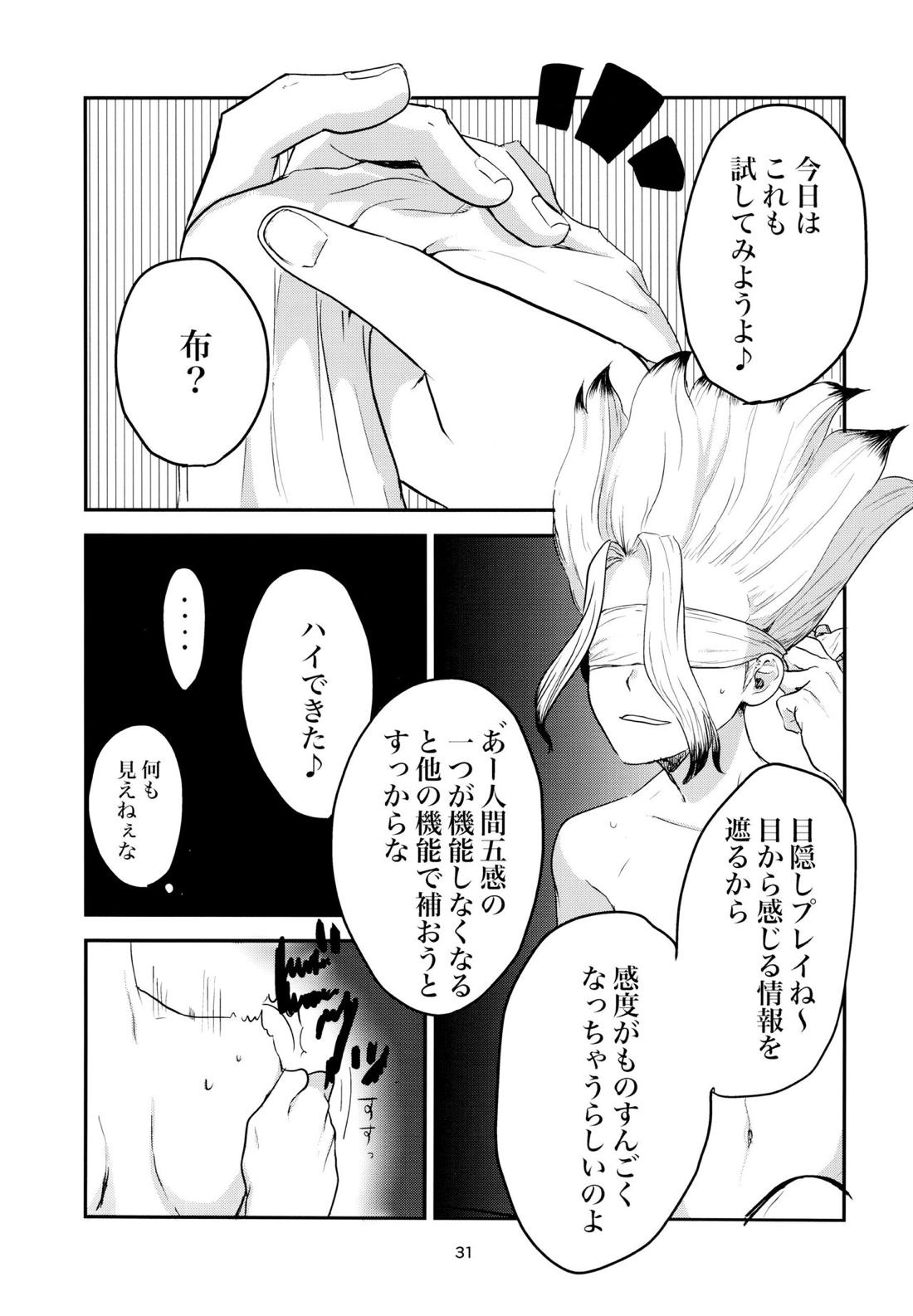 愛と科学はトライ＆エラー【Dr.STONE/ゲン千空】 page 29