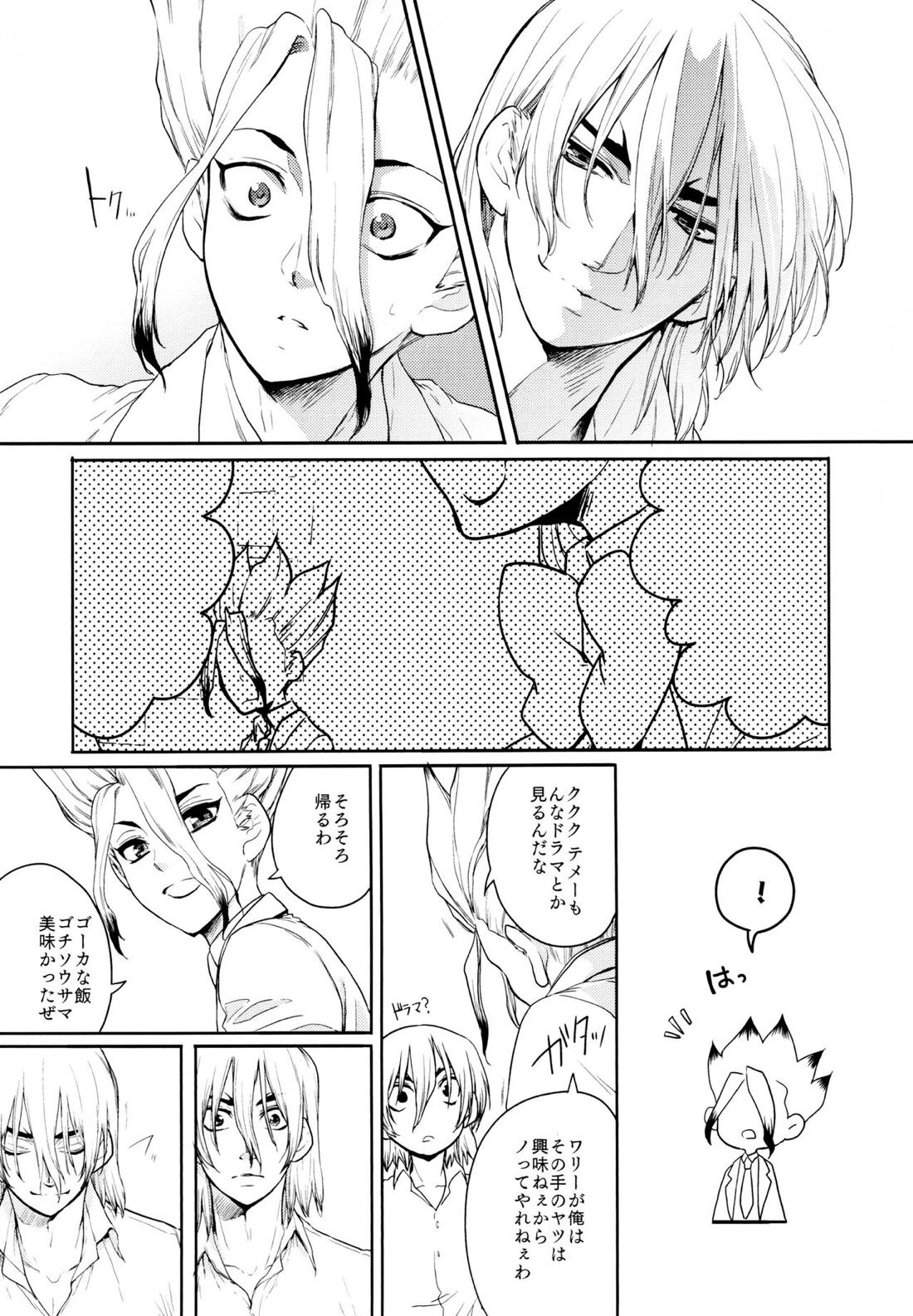 Darling Darling【Dr.STONE/龍千】 page 14