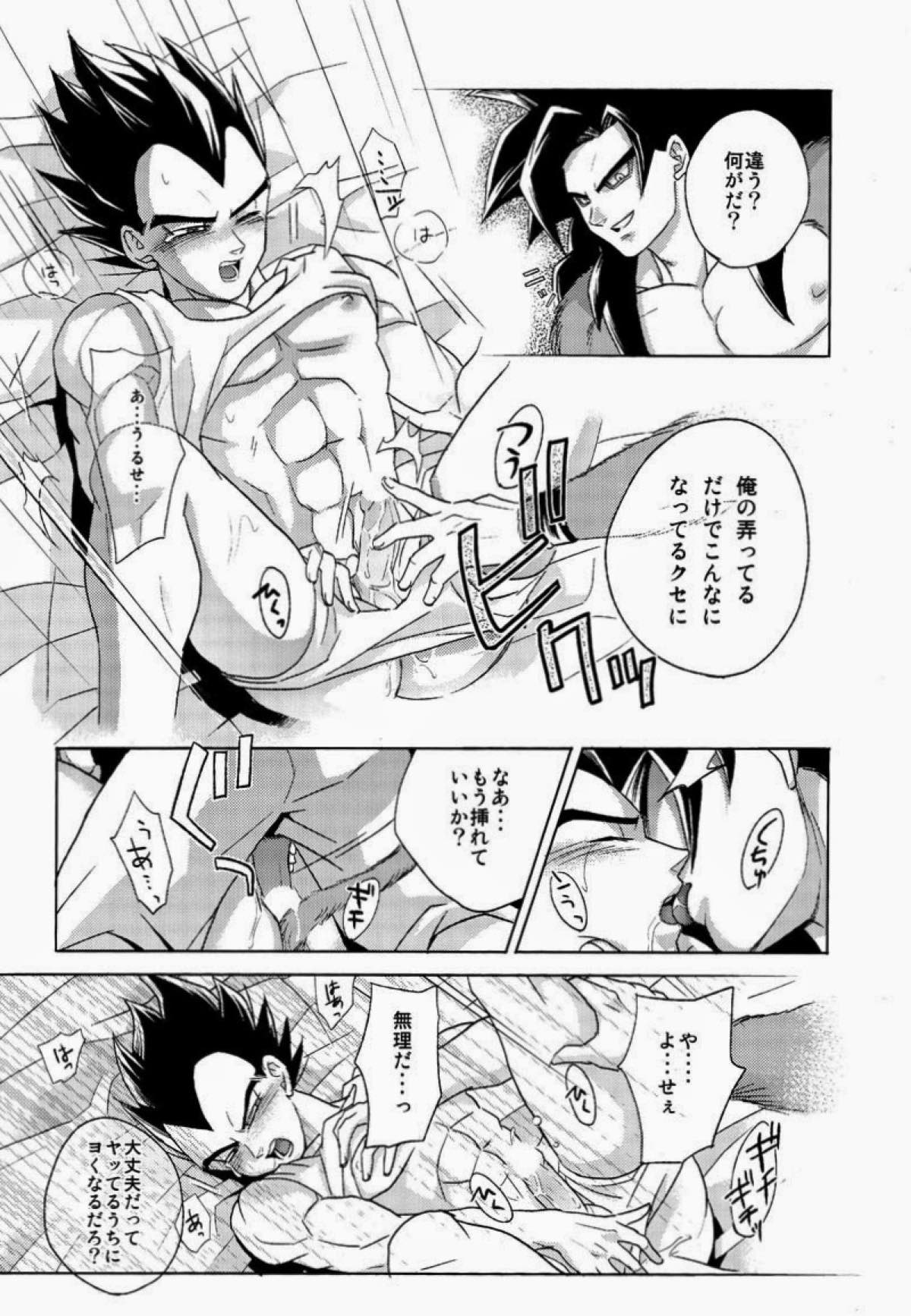 PENETRATION【ドラゴンボール/カカベジ】 page 11