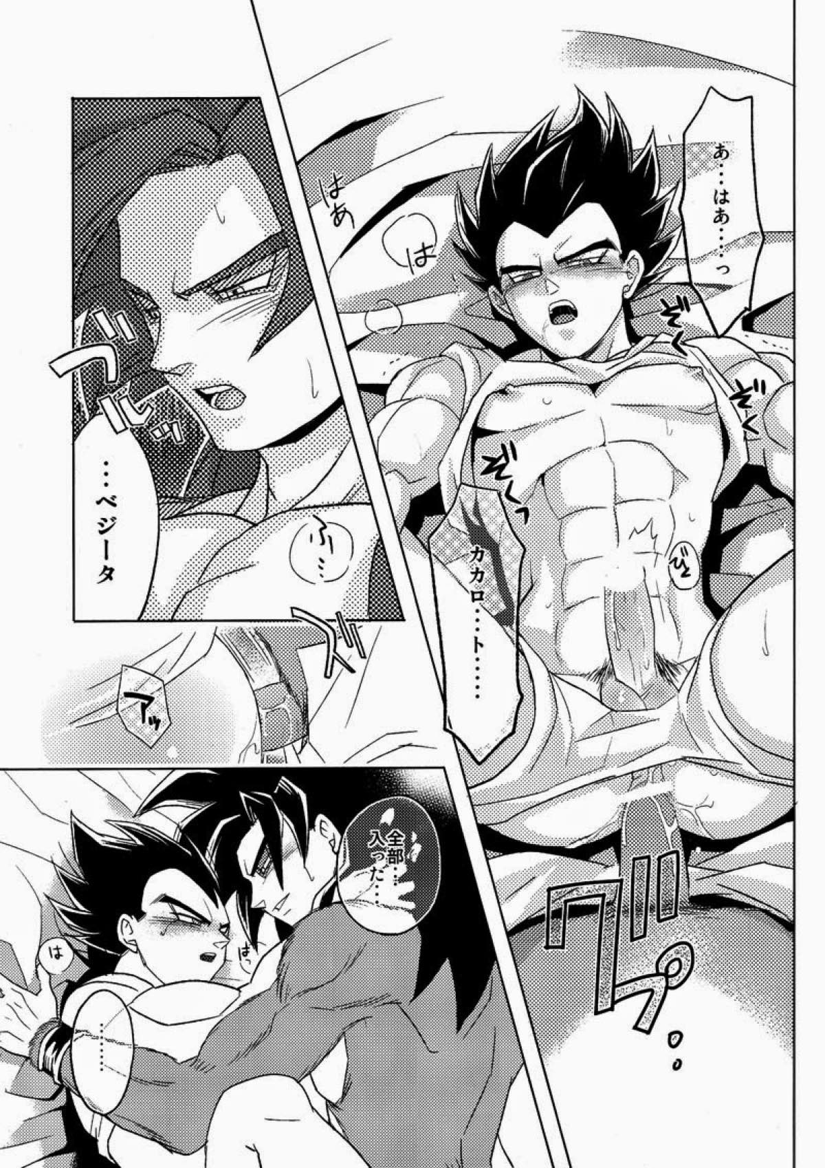 PENETRATION【ドラゴンボール/カカベジ】 page 12