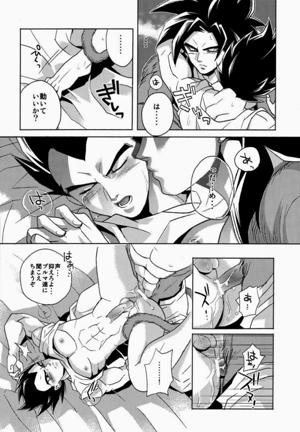 PENETRATION【ドラゴンボール/カカベジ】 page 13