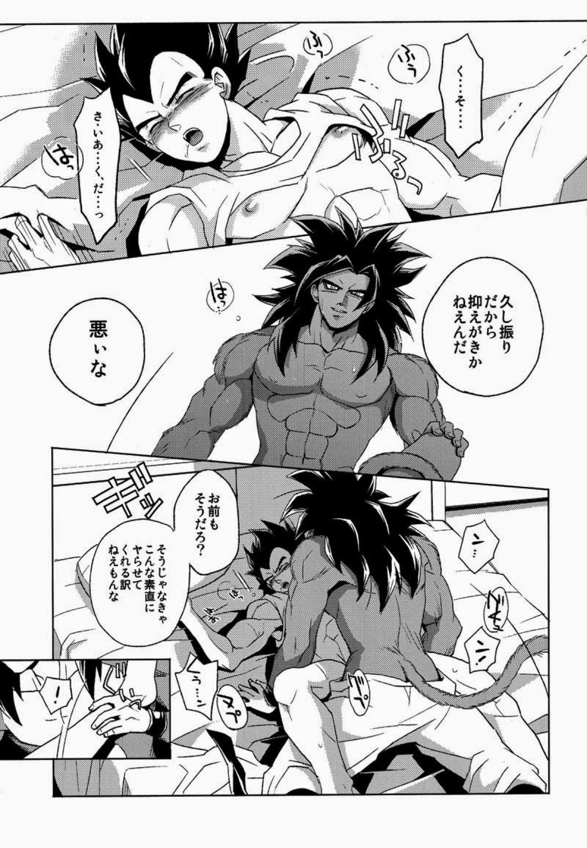 PENETRATION【ドラゴンボール/カカベジ】 page 14