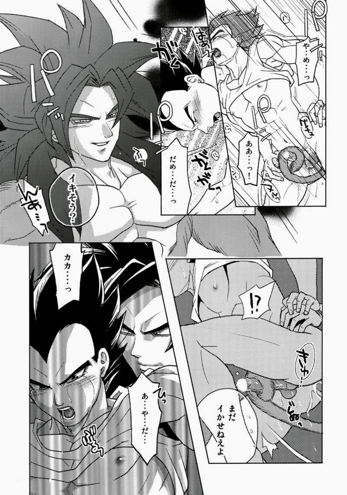 PENETRATION【ドラゴンボール/カカベジ】 page 16