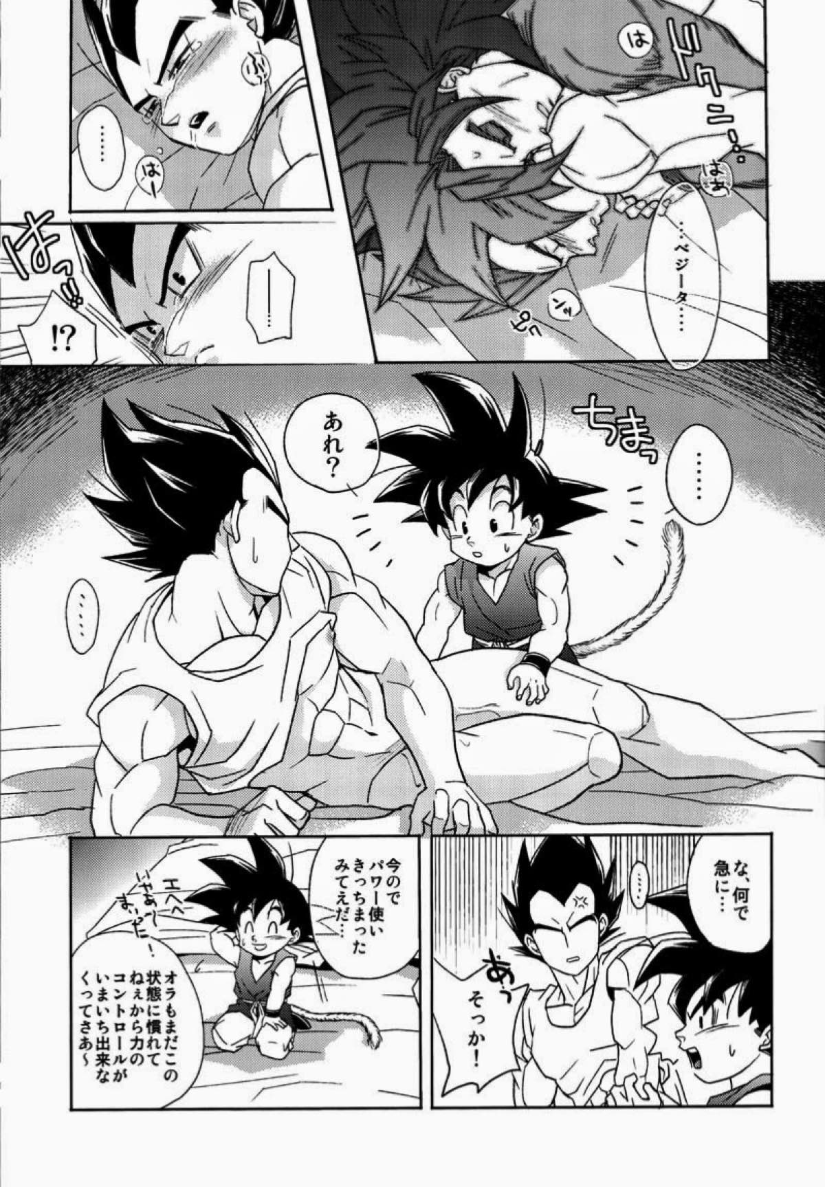 PENETRATION【ドラゴンボール/カカベジ】 page 20