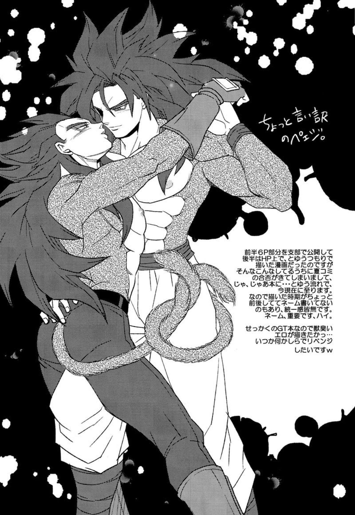 PENETRATION【ドラゴンボール/カカベジ】 page 22