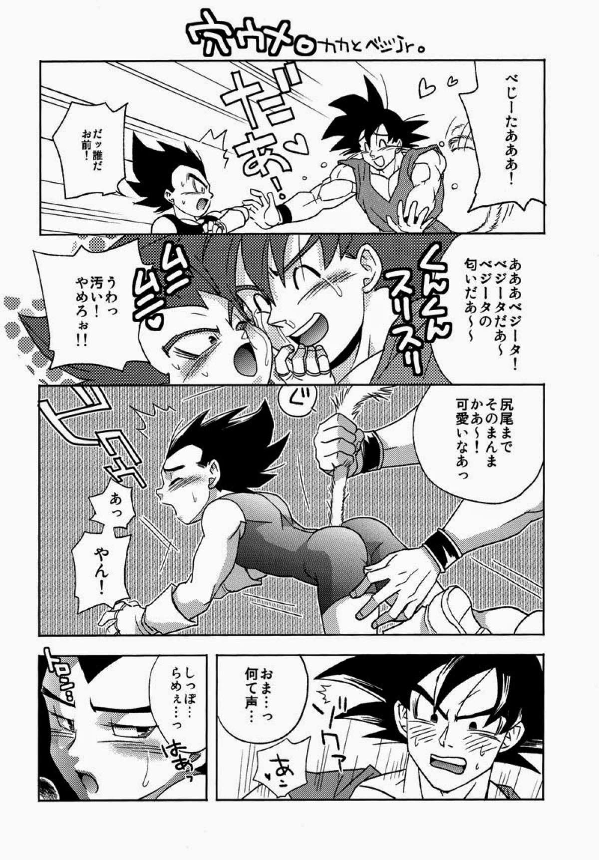 PENETRATION【ドラゴンボール/カカベジ】 page 23