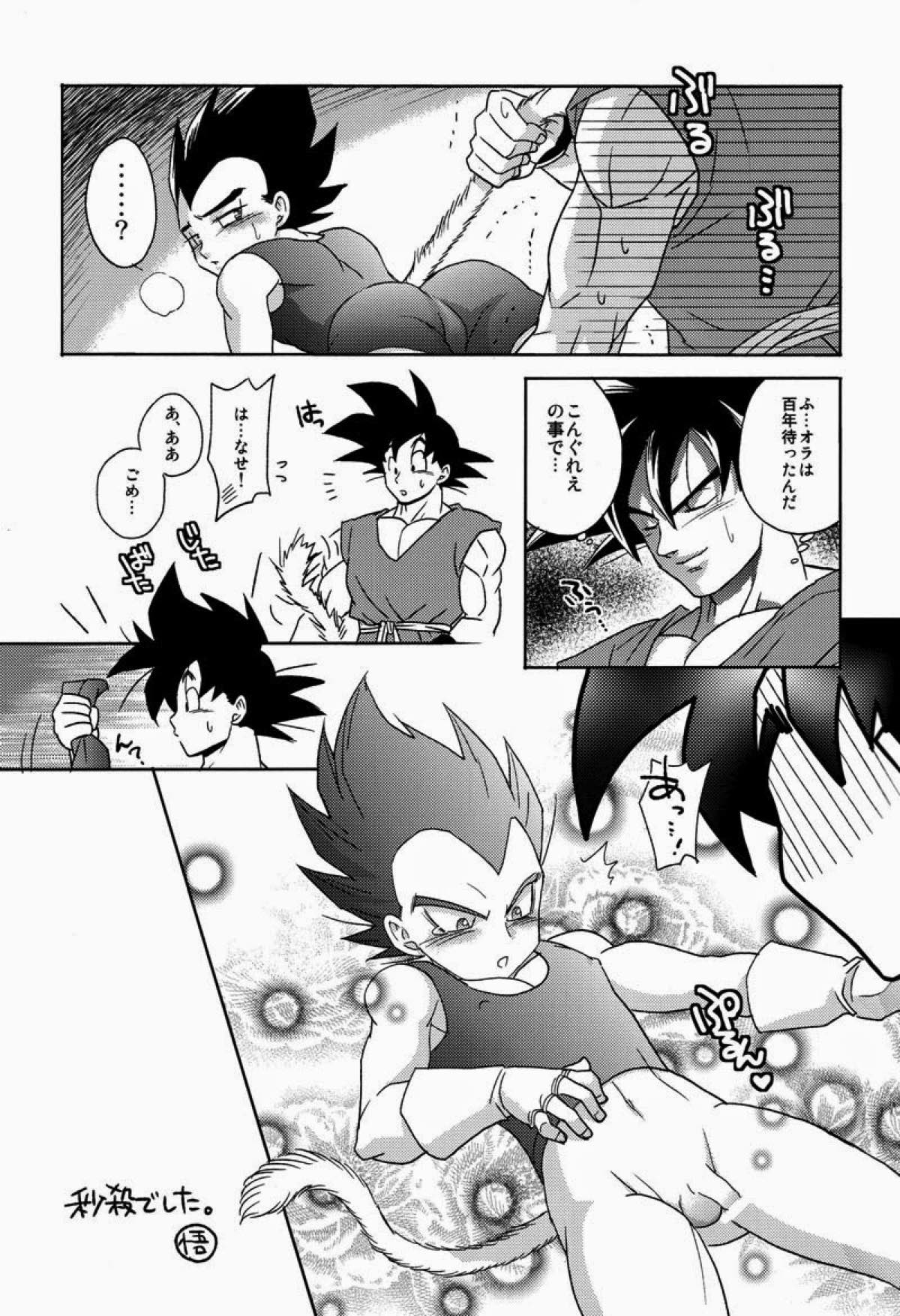 PENETRATION【ドラゴンボール/カカベジ】 page 24