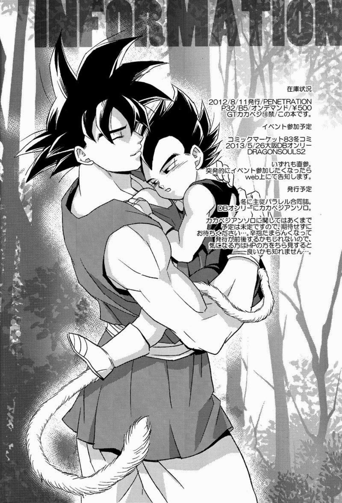 PENETRATION【ドラゴンボール/カカベジ】 page 25