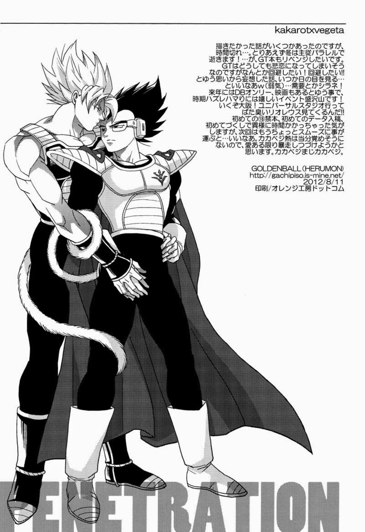 PENETRATION【ドラゴンボール/カカベジ】 page 26