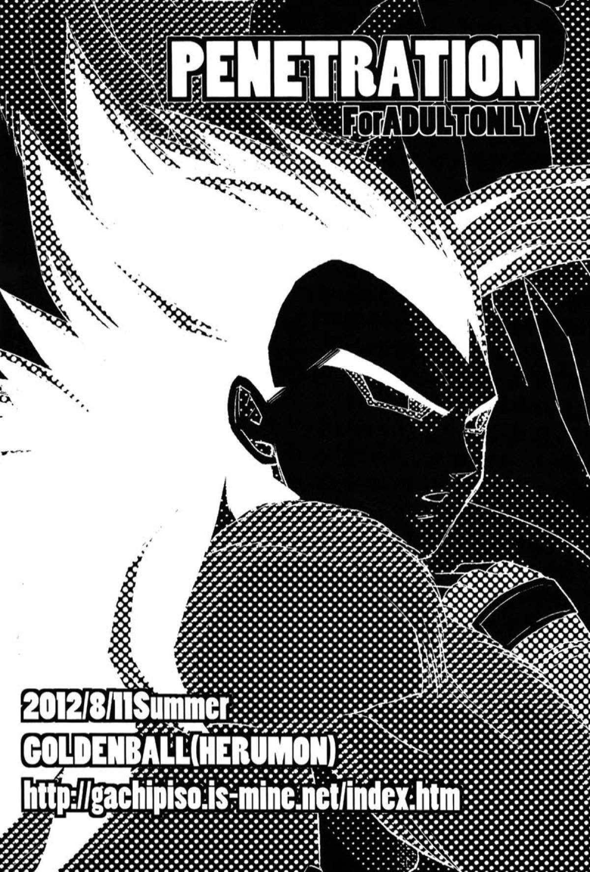 PENETRATION【ドラゴンボール/カカベジ】 page 27