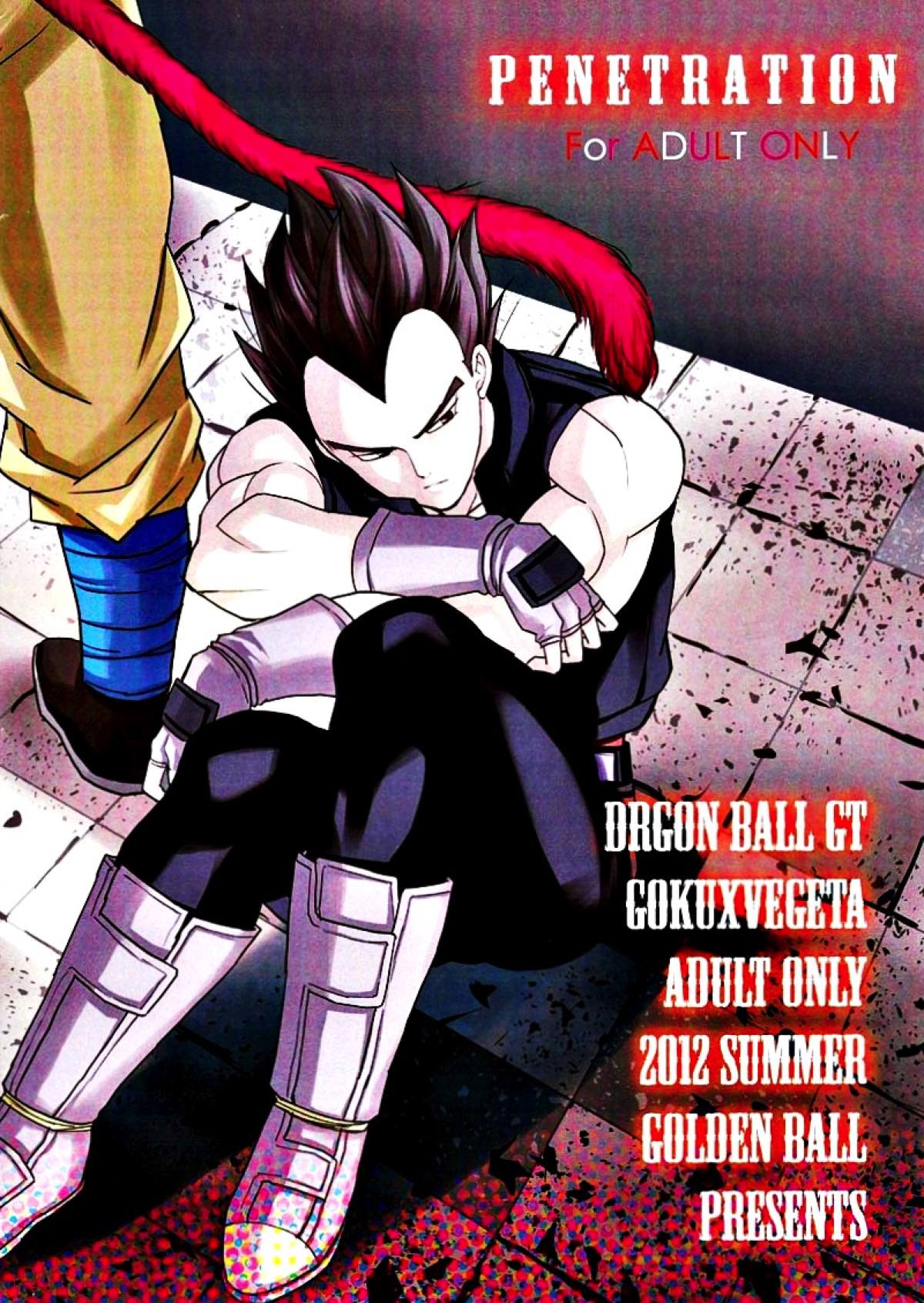 PENETRATION【ドラゴンボール/カカベジ】 page 28