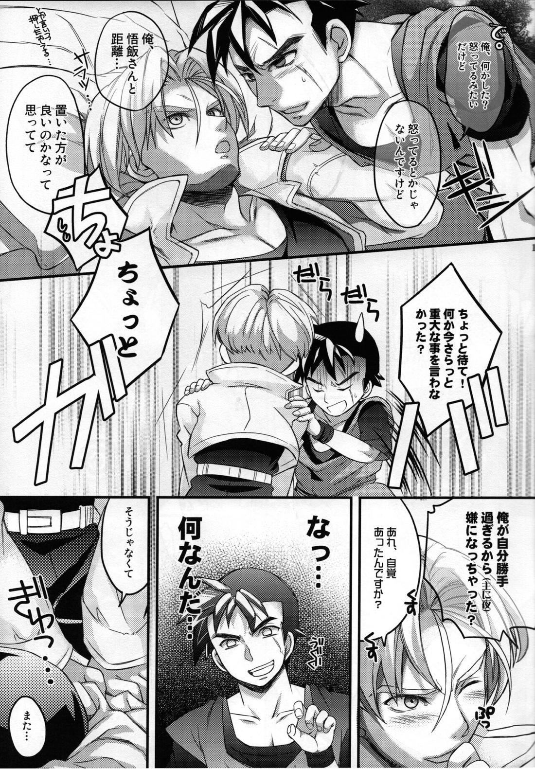 これが俺のお師匠様【ドラゴンボール/飯トラ】 page 12