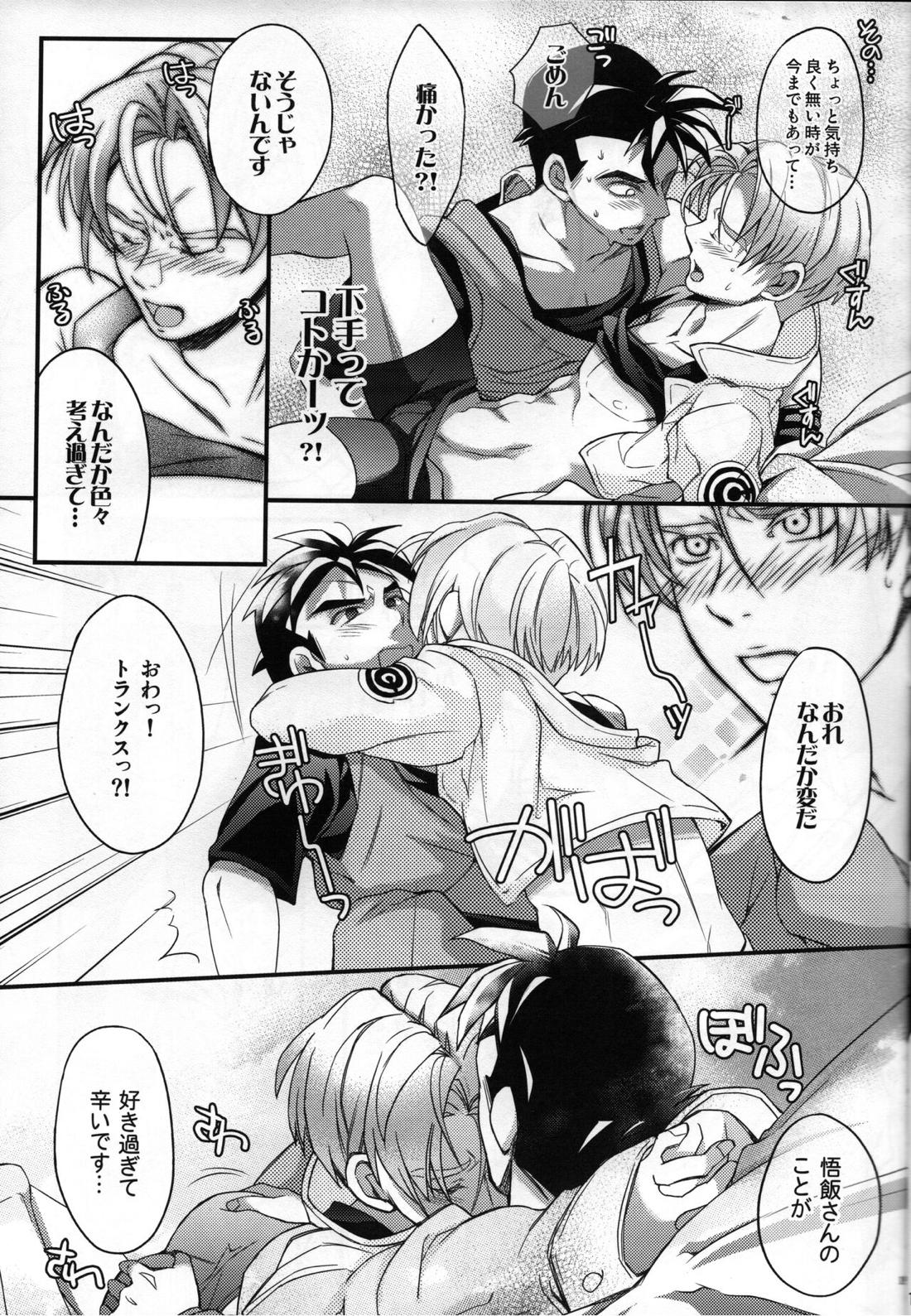 これが俺のお師匠様【ドラゴンボール/飯トラ】 page 18
