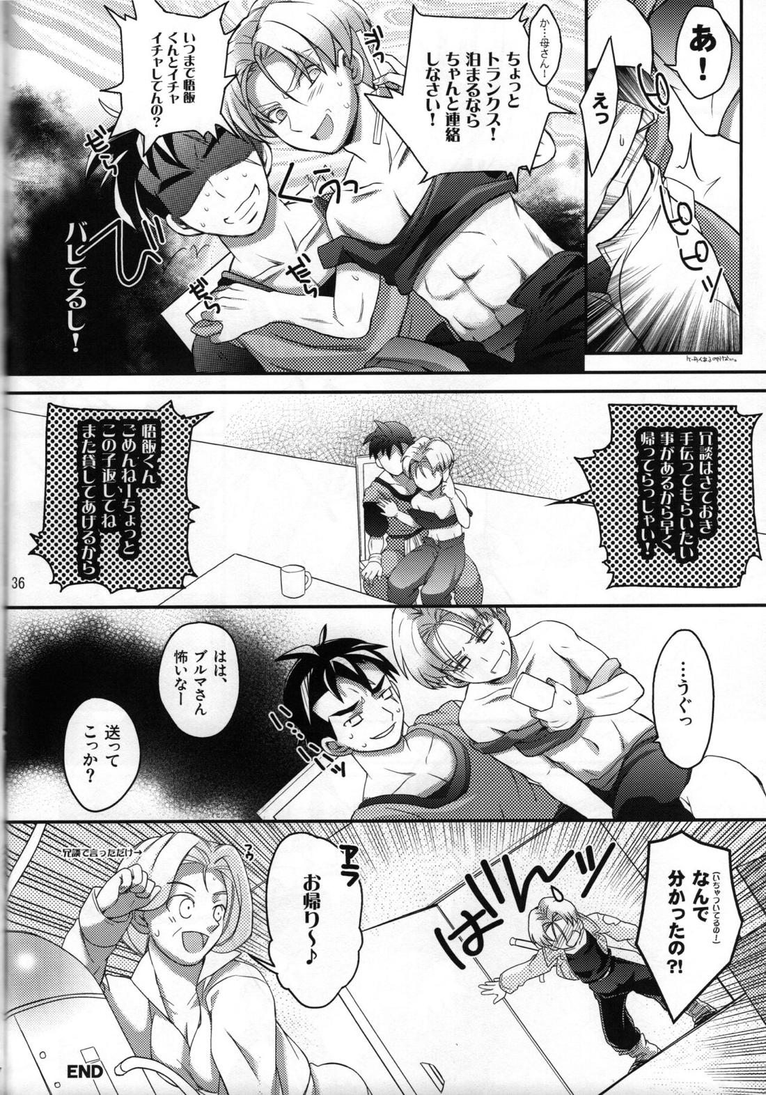 これが俺のお師匠様【ドラゴンボール/飯トラ】 page 35