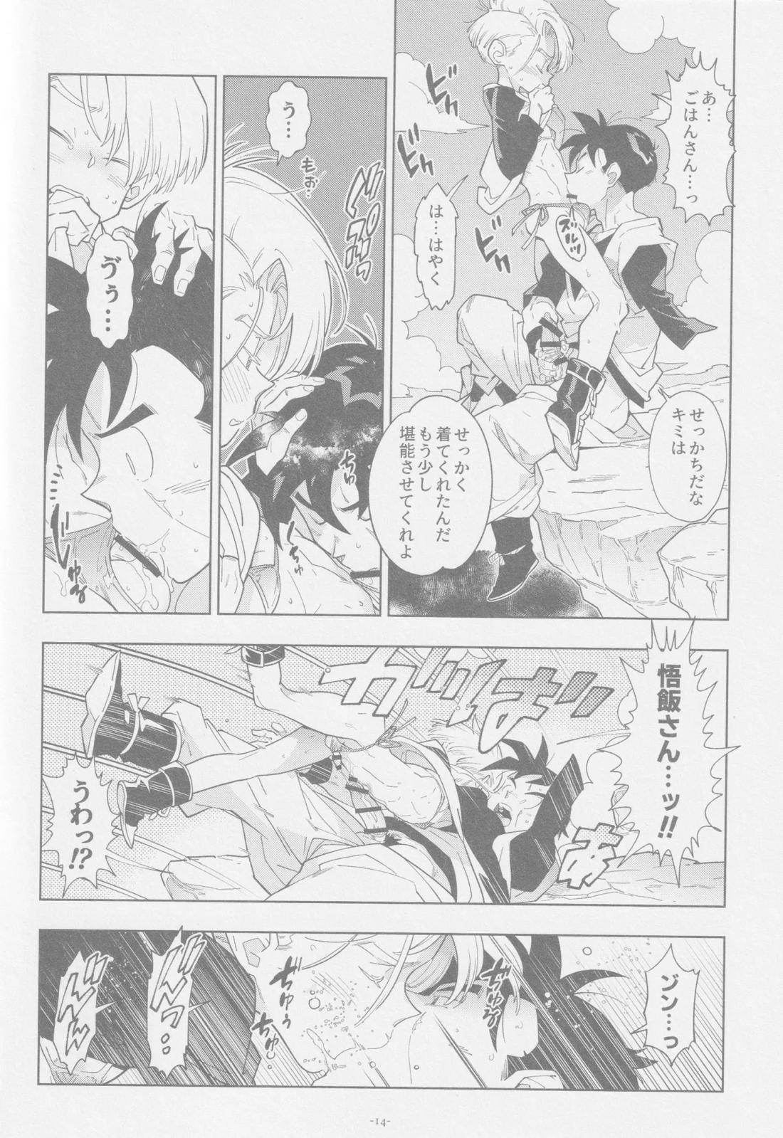 ねぇ悟飯さん、マイクロビキニ好きですか？【ドラゴンボール/飯トラ】 page 13