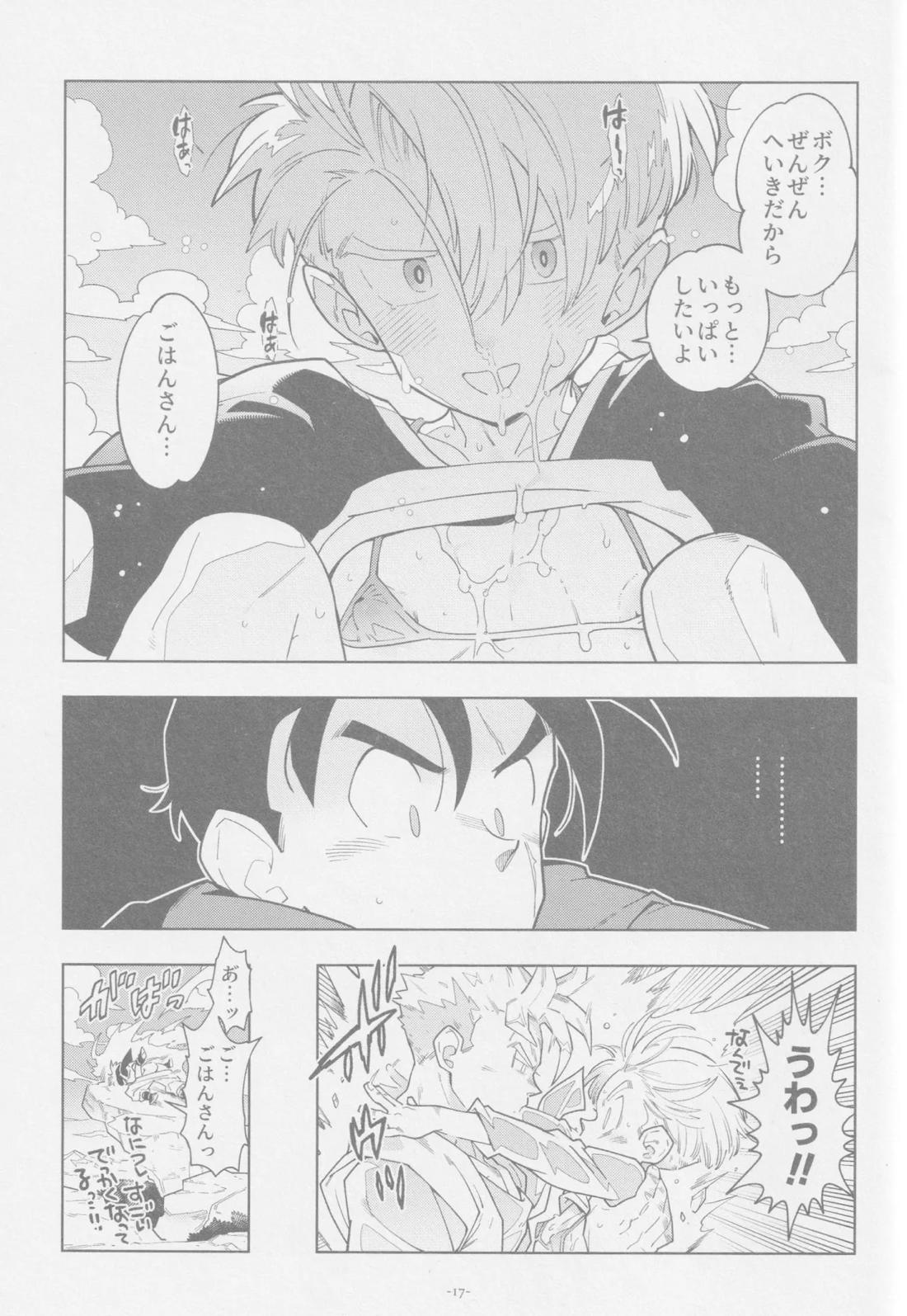 ねぇ悟飯さん、マイクロビキニ好きですか？【ドラゴンボール/飯トラ】 page 16