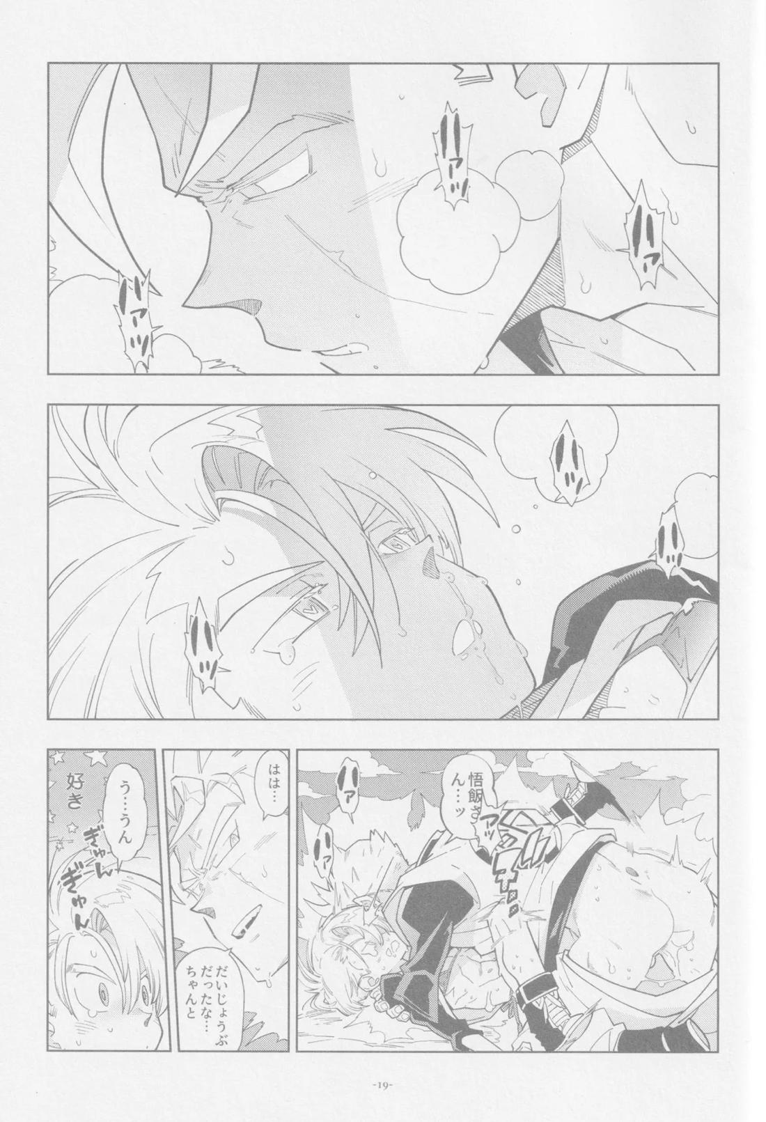 ねぇ悟飯さん、マイクロビキニ好きですか？【ドラゴンボール/飯トラ】 page 18