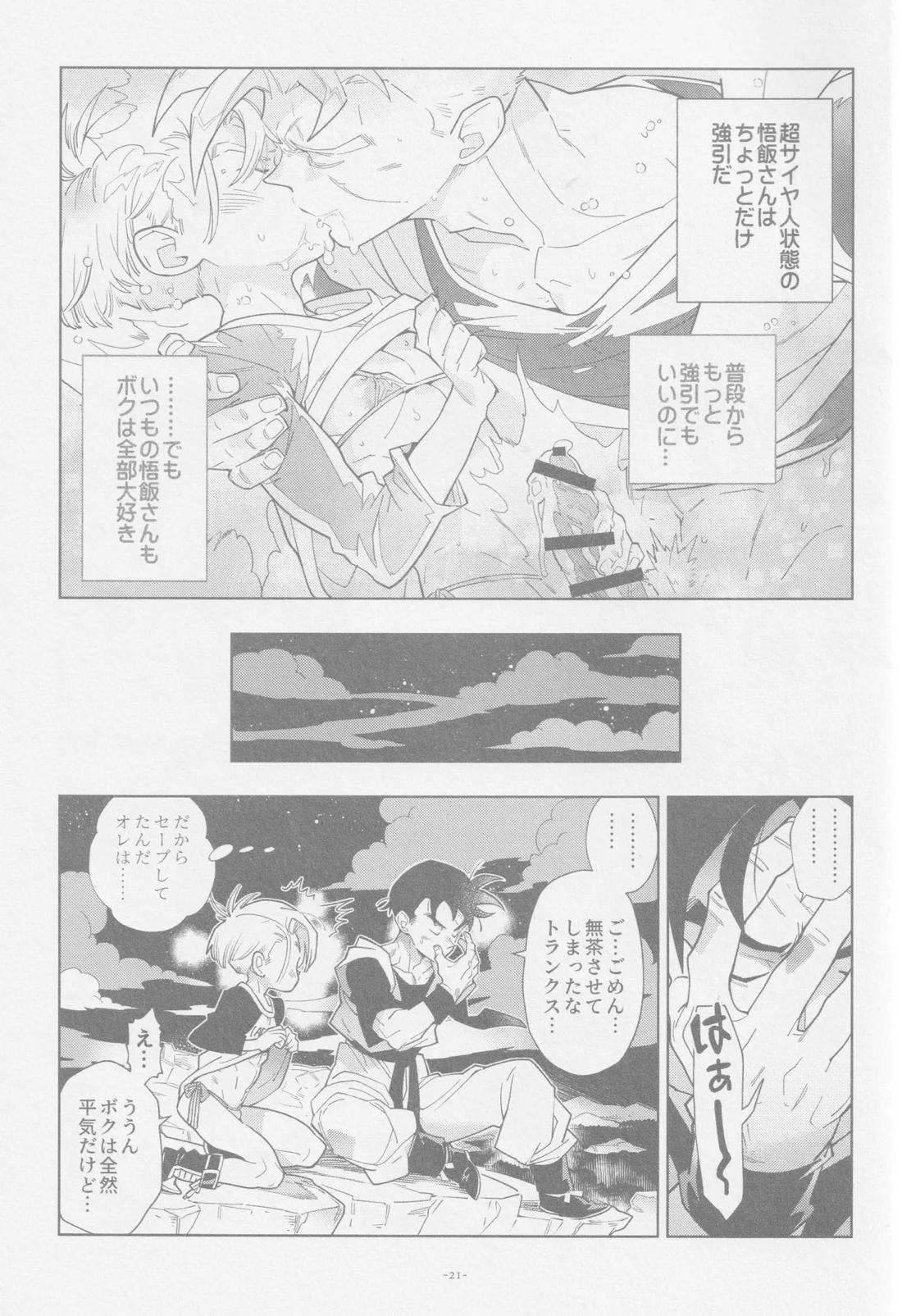 ねぇ悟飯さん、マイクロビキニ好きですか？【ドラゴンボール/飯トラ】 page 20