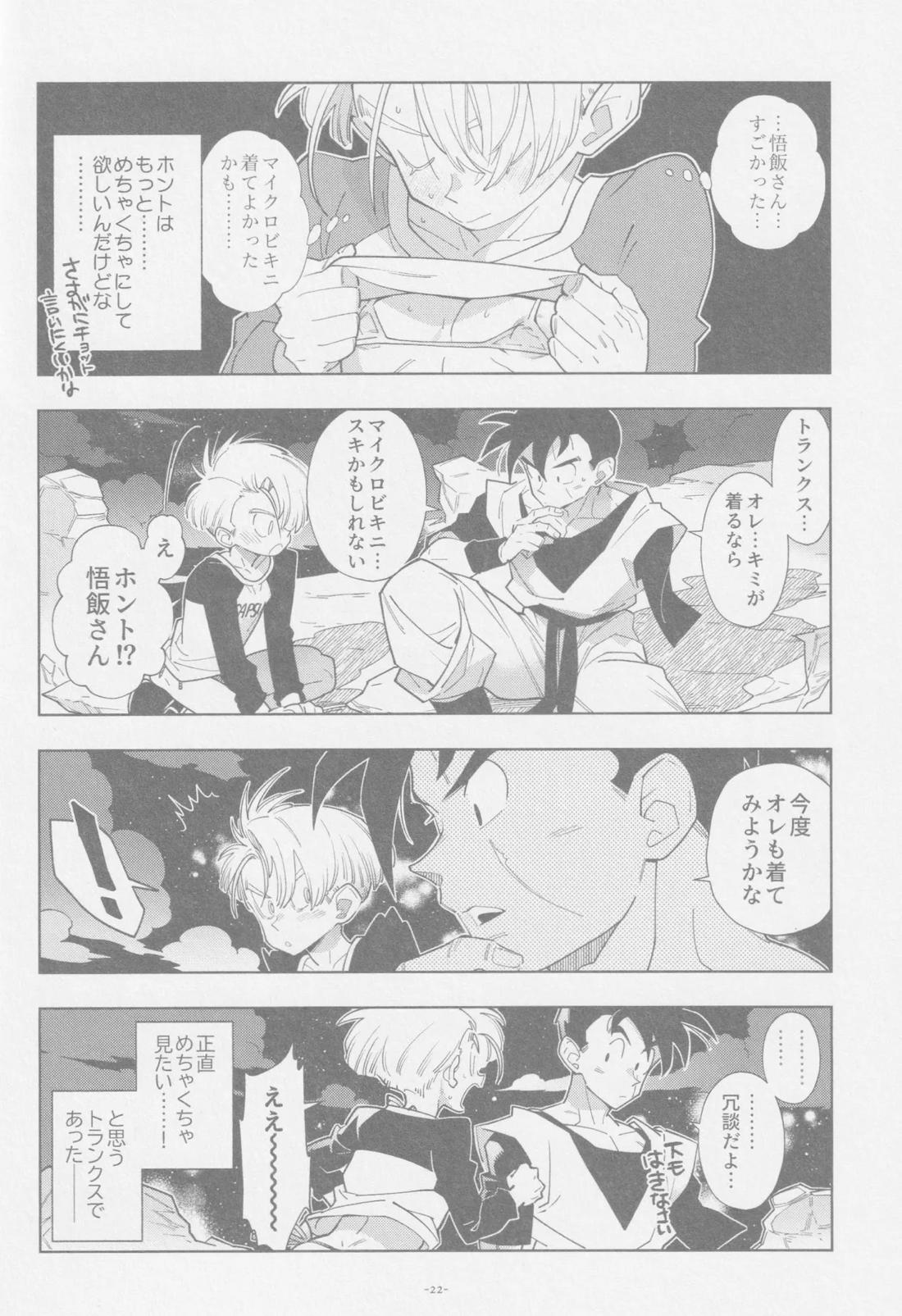 ねぇ悟飯さん、マイクロビキニ好きですか？【ドラゴンボール/飯トラ】 page 21