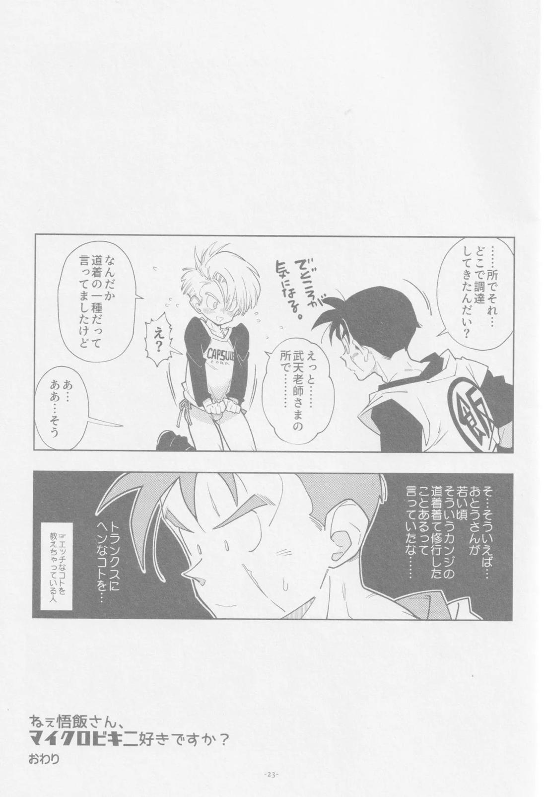 ねぇ悟飯さん、マイクロビキニ好きですか？【ドラゴンボール/飯トラ】 page 22