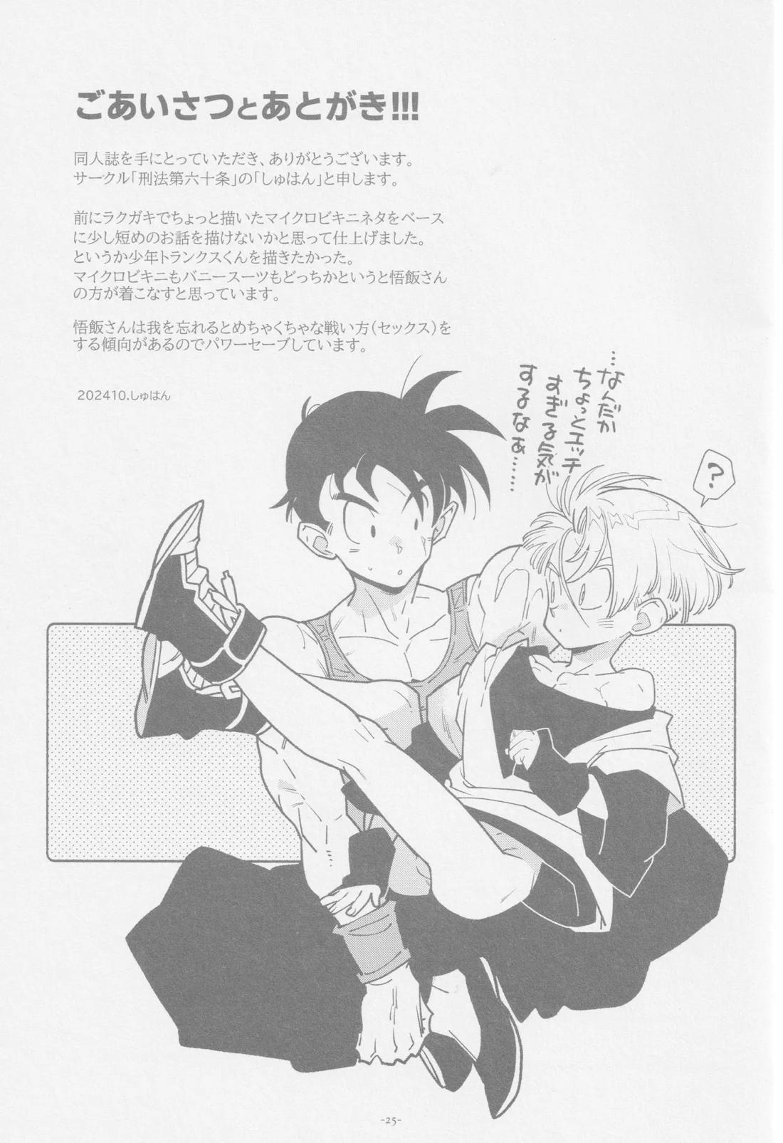 ねぇ悟飯さん、マイクロビキニ好きですか？【ドラゴンボール/飯トラ】 page 24