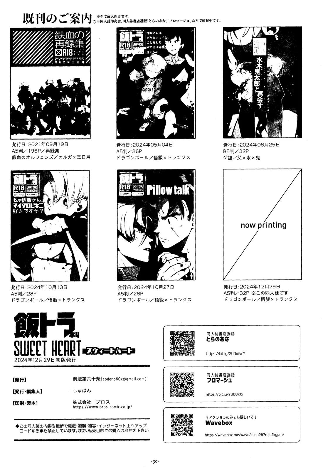 スウィートハート【ドラゴンボール/飯トラ】 page 29