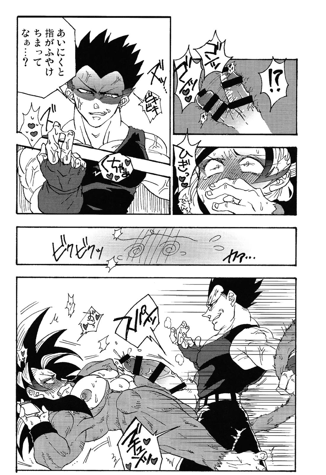 いいかげんしろカカロット!!!【ドラゴンボール/ベジカカ】 page 13