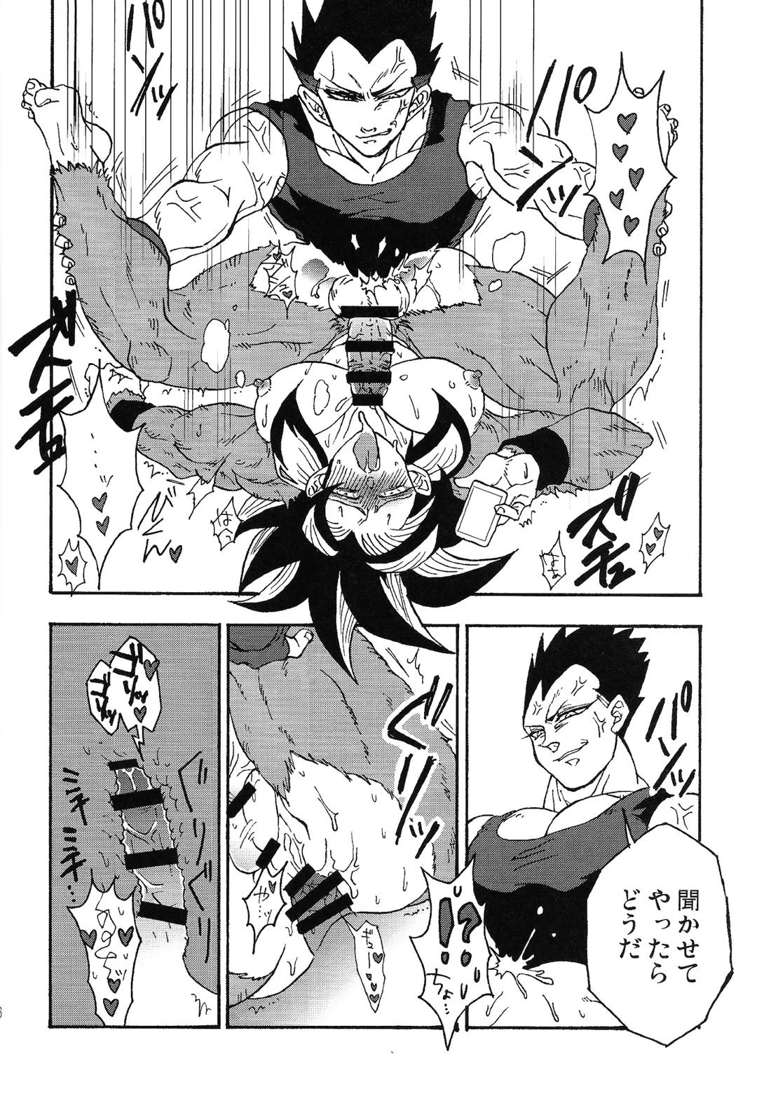 いいかげんしろカカロット!!!【ドラゴンボール/ベジカカ】 page 15