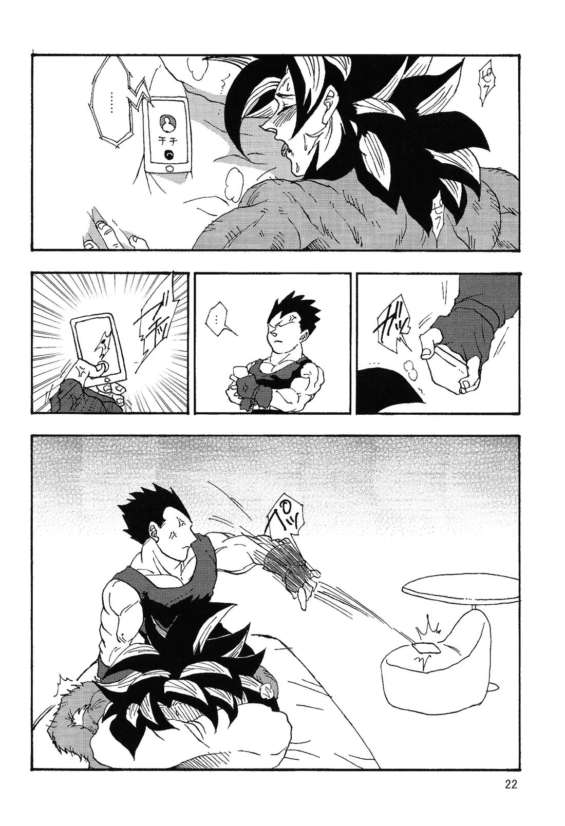 いいかげんしろカカロット!!!【ドラゴンボール/ベジカカ】 page 21