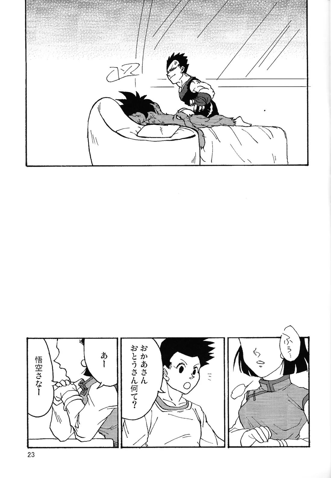 いいかげんしろカカロット!!!【ドラゴンボール/ベジカカ】 page 22