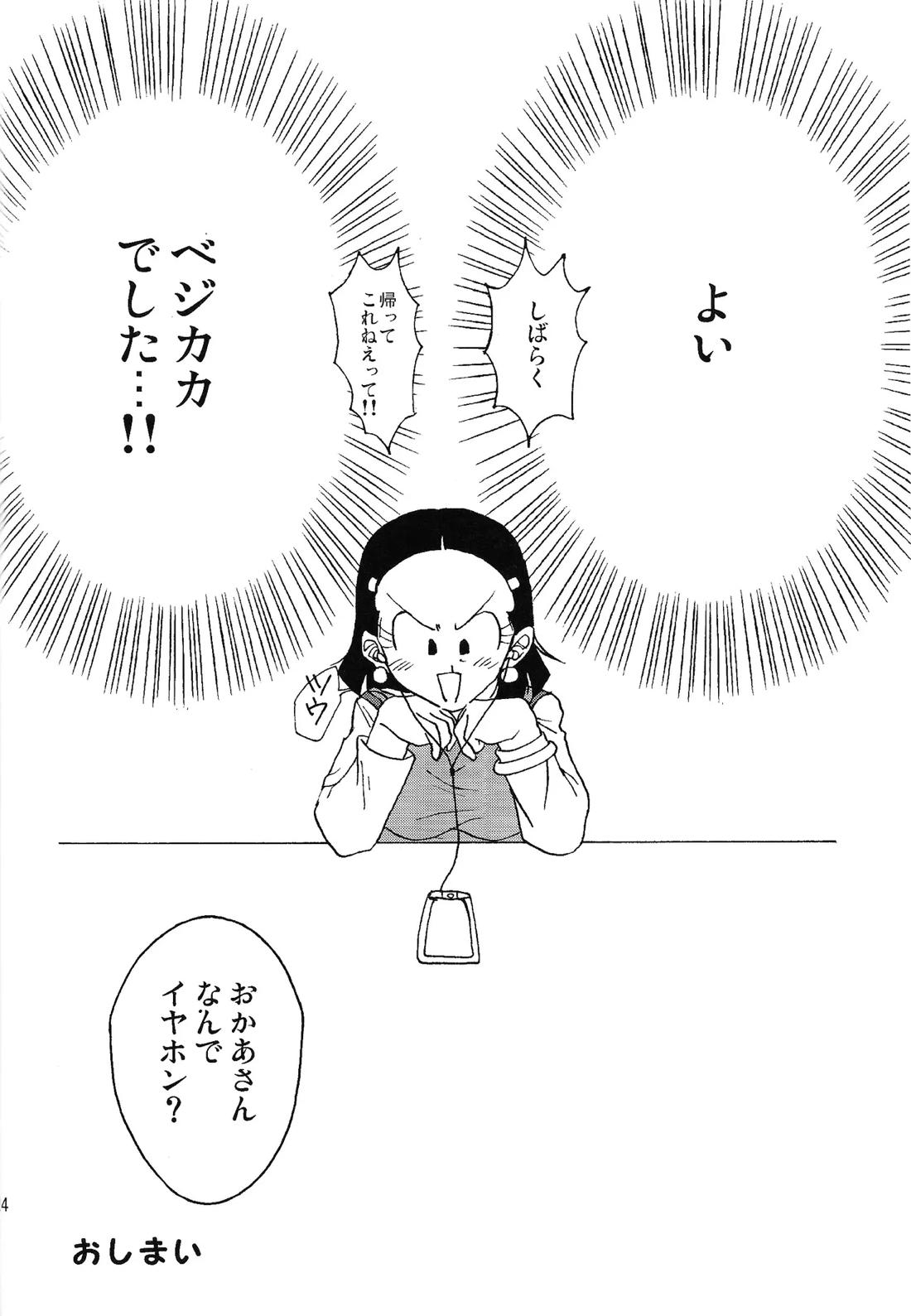 いいかげんしろカカロット!!!【ドラゴンボール/ベジカカ】 page 23