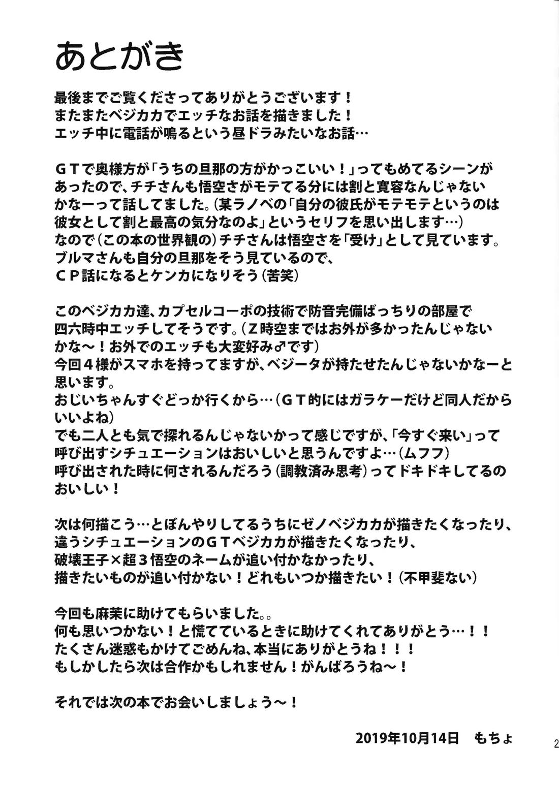 いいかげんしろカカロット!!!【ドラゴンボール/ベジカカ】 page 24