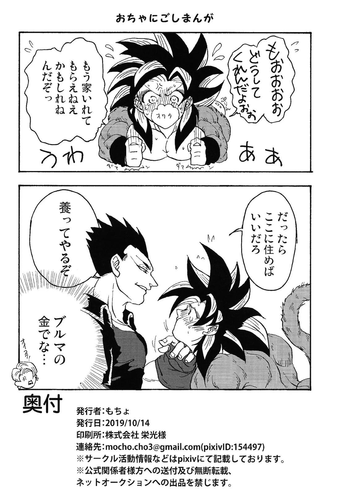 いいかげんしろカカロット!!!【ドラゴンボール/ベジカカ】 page 25