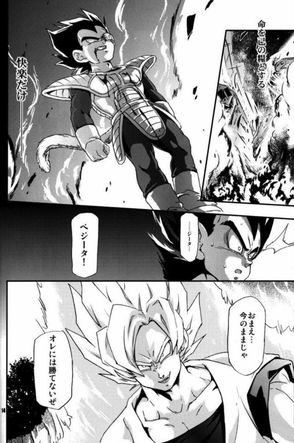 ケモノたちは故郷をめざす【ドラゴンボール/カカベジ】 page 12