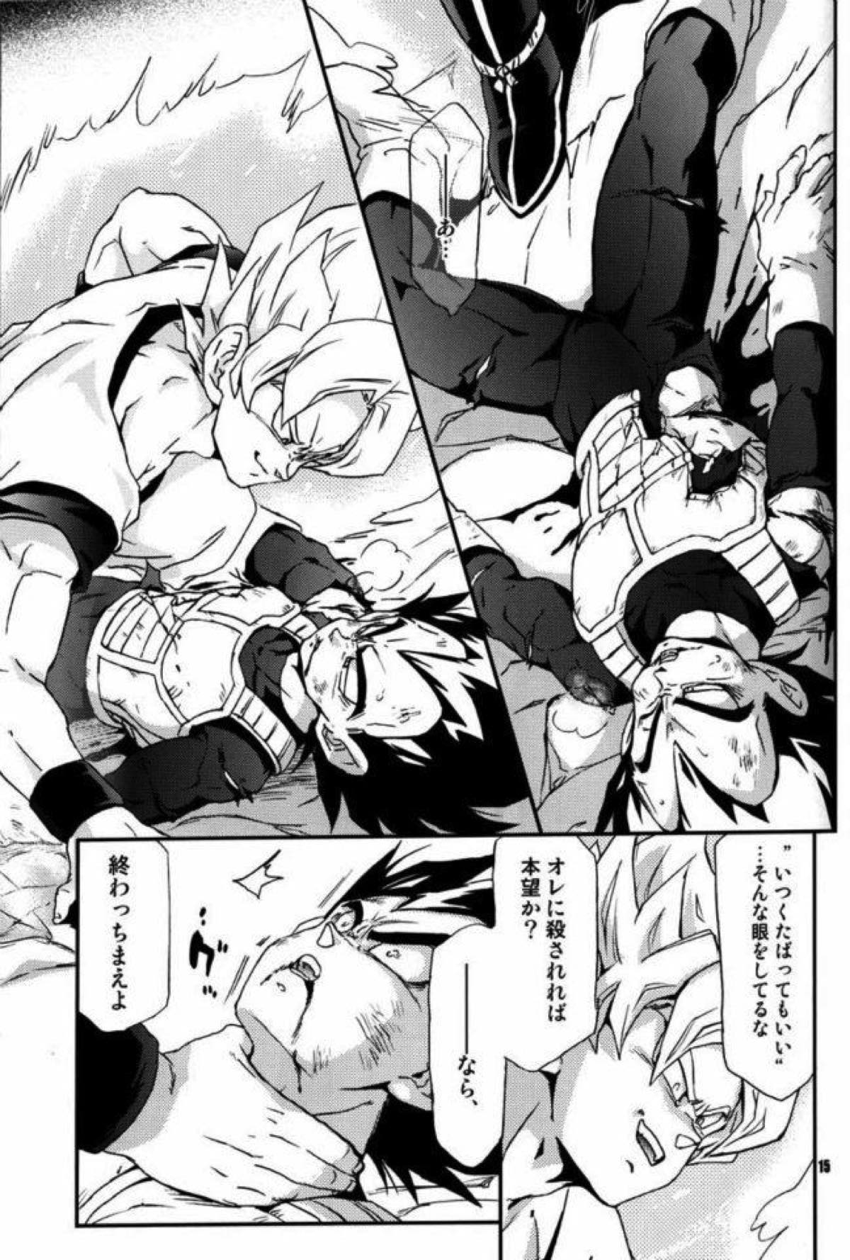 ケモノたちは故郷をめざす【ドラゴンボール/カカベジ】 page 13