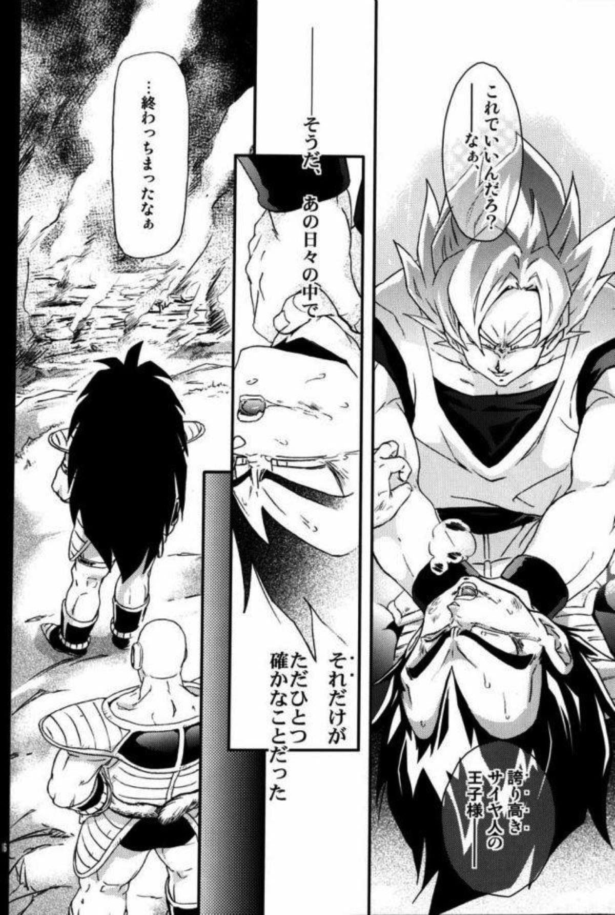 ケモノたちは故郷をめざす【ドラゴンボール/カカベジ】 page 14