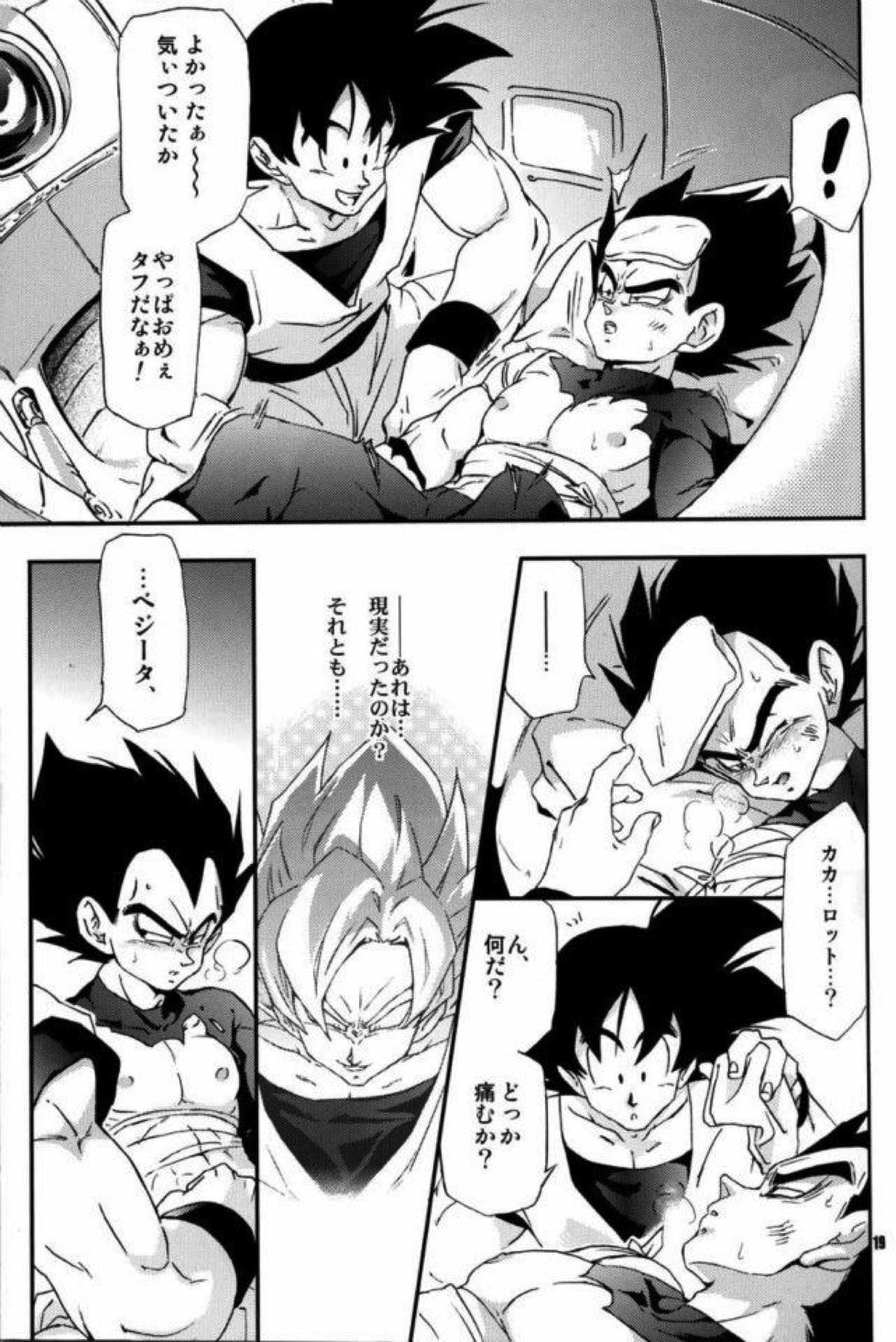 ケモノたちは故郷をめざす【ドラゴンボール/カカベジ】 page 17